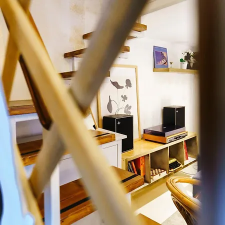 New Flower Garden * Budapeste